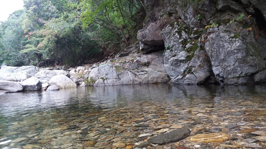 Charm Pension Gapyeong Bagian luar foto